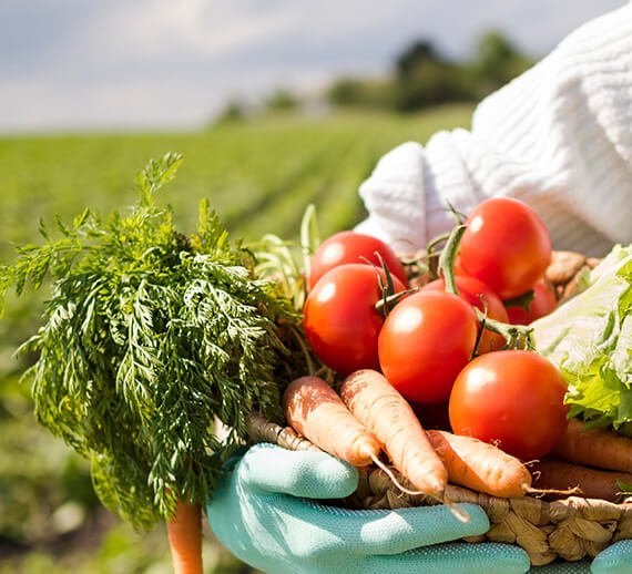 Seasoning Plus